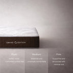 The Hotel Edition- The Grand Mattress